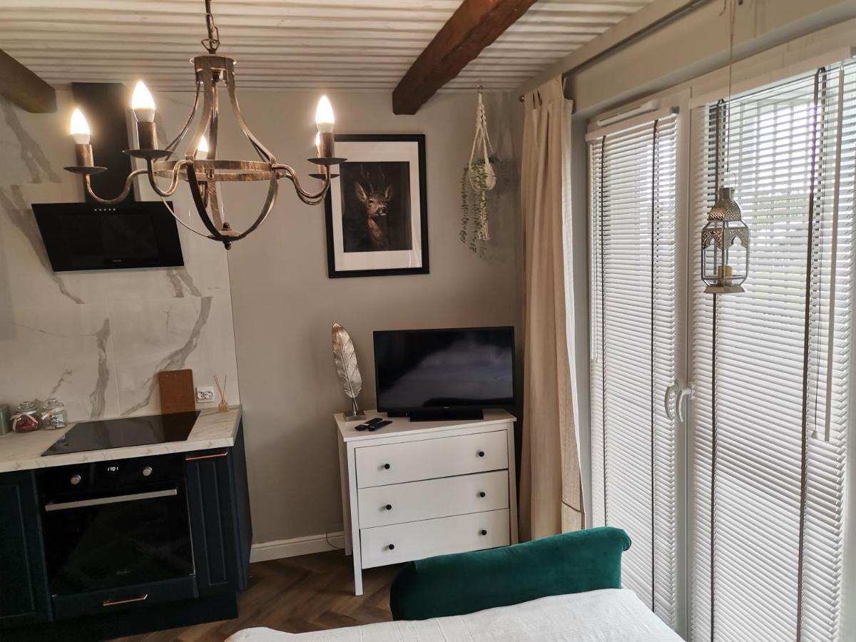 Lesny Apartment Zamosc (Lublin)
